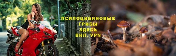 spice Алексин