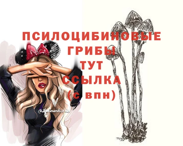 spice Алексин