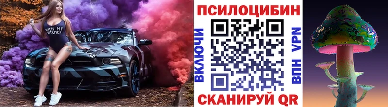 наркошоп  Щигры  Псилоцибиновые грибы прущие грибы 